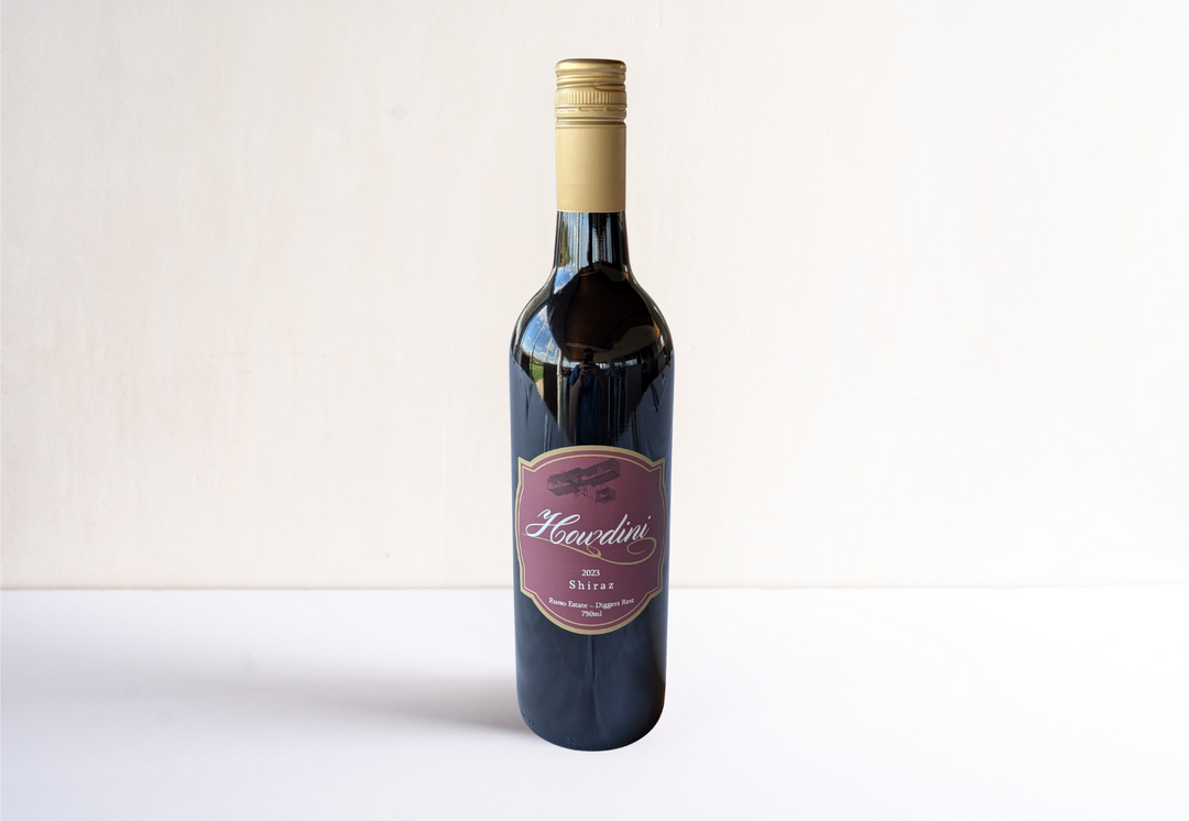 How?dini Shiraz 2023